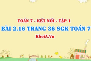 Bài 2.16 trang 36 SGK Toán 7 tập 1 Kết nối tri thức